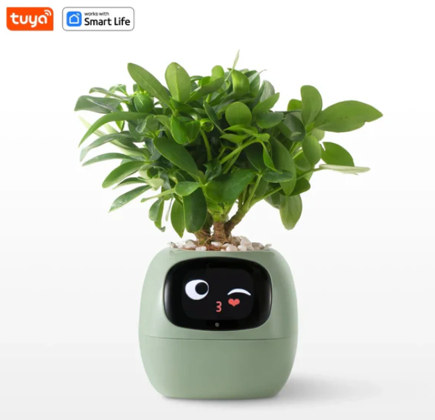 Plantello™ – The Smart AI Plant Companion